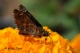 Όνομα αρχείου=DSC_9486_crp_cntr_Copyright_700_10.jpg
Μέγεθος αρχείου=111KB
Διαστάσεις=700x465
Ημερομηνία προσθήκης=Φεβ 27, 2012 DSC_9486_crp_cntr_Copyright_700_10.jpg